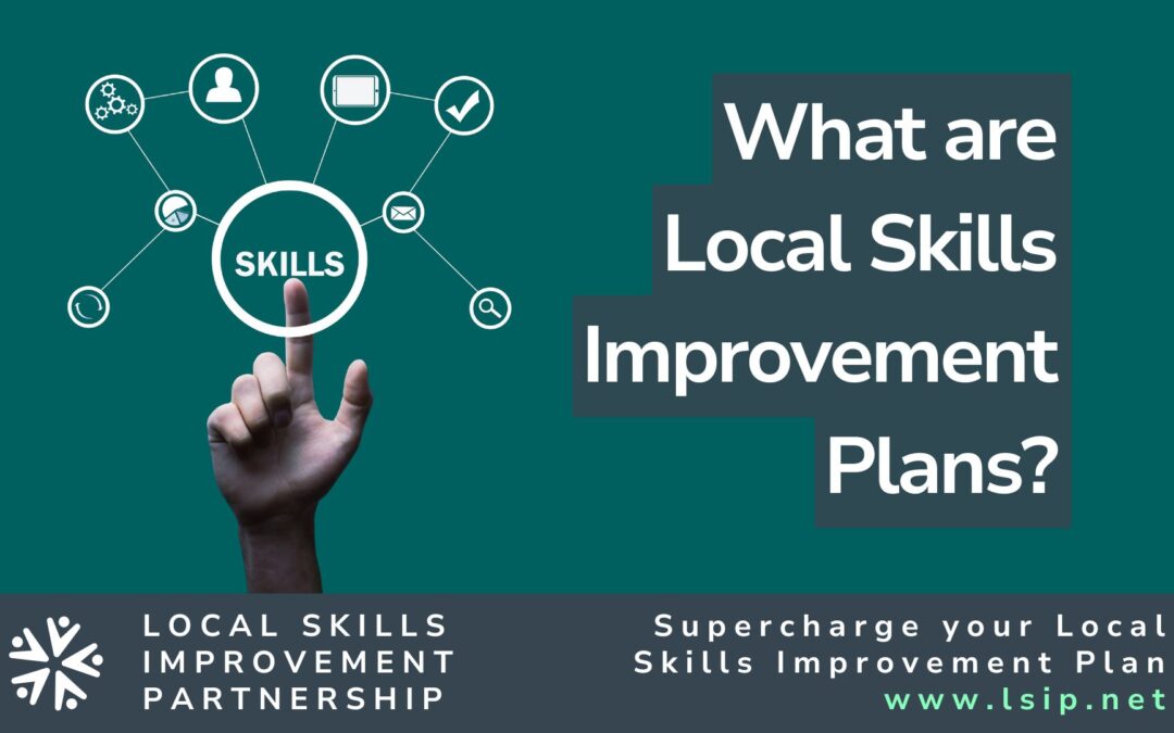 What are Local Skills Improvement Plans?