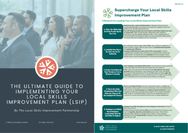 First 2 pages of the Ultimate Guide to LSIPs